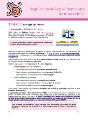 tema-12-destino.pdf