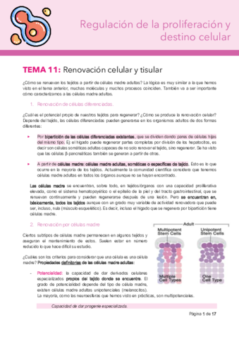 tema-11-destino.pdf