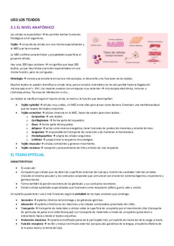 UD3-LOS-TEJIDOS-TEJIDO-EPITELIAL.pdf