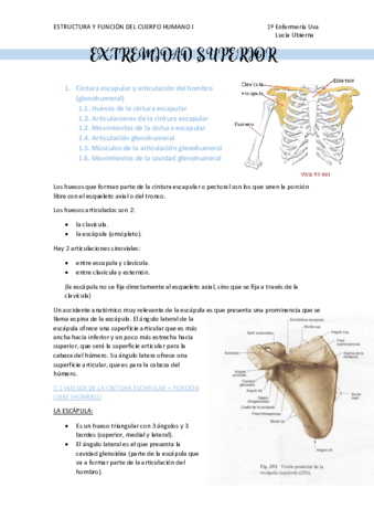 EXTREMIDAD-SUPERIOR.pdf