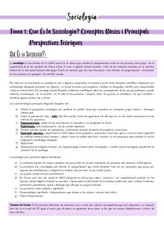 ApuntsSocioExamen.pdf