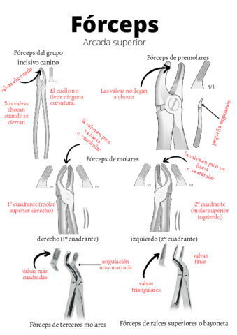 Forceps.pdf