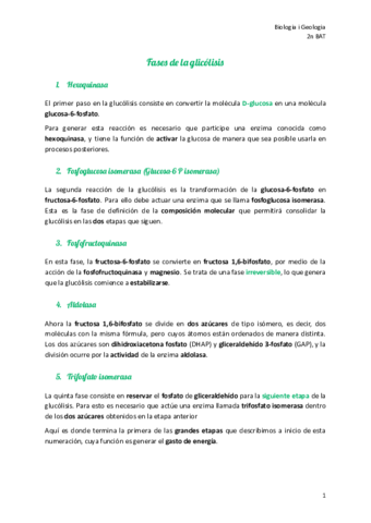 Fases-glicolisi.pdf