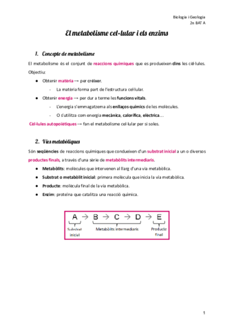 El-metabolisme-cellular-i-els-enzims.pdf