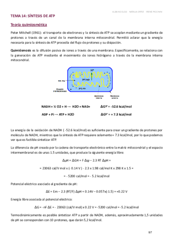 BQ-TEMAS-14-16.pdf