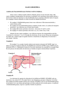 Clase 9- Bioquímica.pdf
