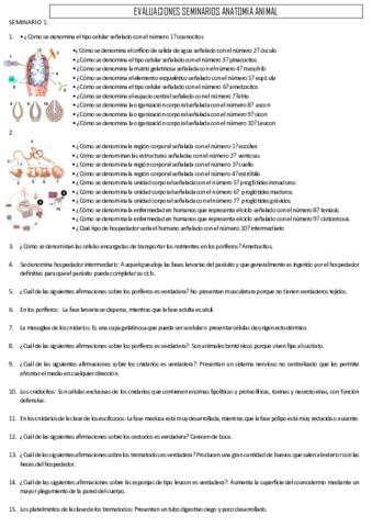 SEMINARIOS-EVALUACIONES.pdf