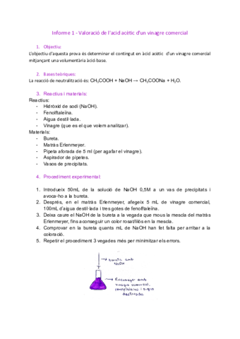 Informe-1-.pdf