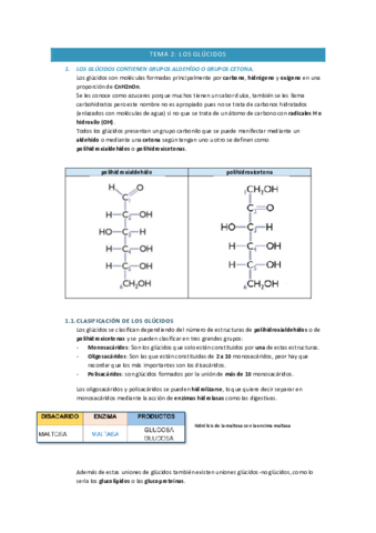 Los-glucidos.pdf