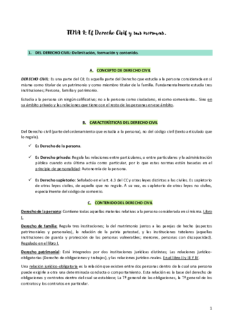 Tema-1-civil-FIN.pdf
