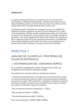 Informe espinacas.pdf