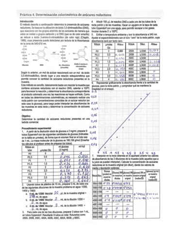 Practica-4.pdf