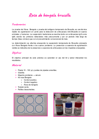 practica-rosa-bengala.pdf