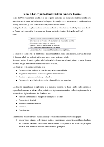 ORGANIZACION-1-7.pdf