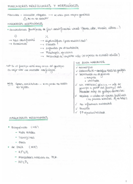 marcadoresmoleculares.pdf