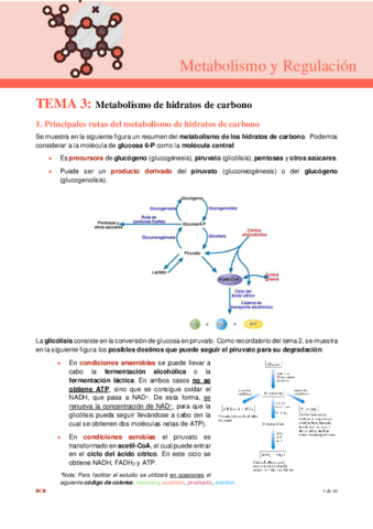 tema-3-metabolismo.pdf