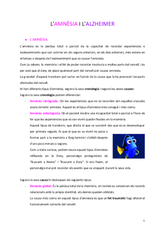 AMNESIA-I-ALZHEIMER.pdf