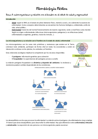 Micromed-T1.pdf