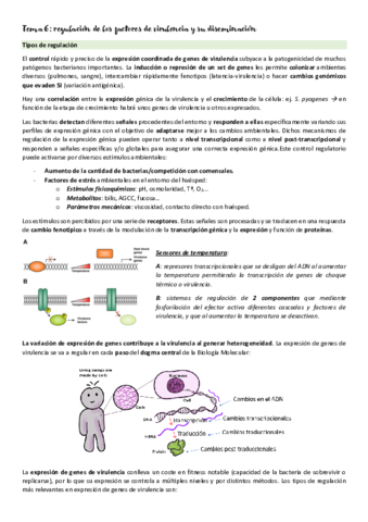 Micromed-T6.pdf