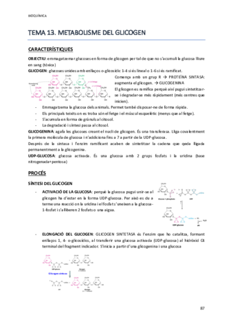 bioquimica part 2.2.pdf