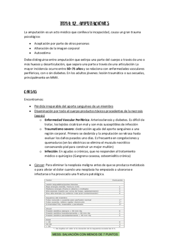 TEMA-12-AFMQ.pdf