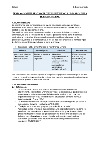 TEMA-11-MANIFESTACIONES-DE-INCONTINENCIA-URINARIA-EN-LA-PERSONA-MAYOR.pdf