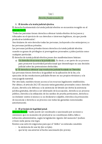 Tema-5-Derecho-Constitucional-Avanzado.pdf