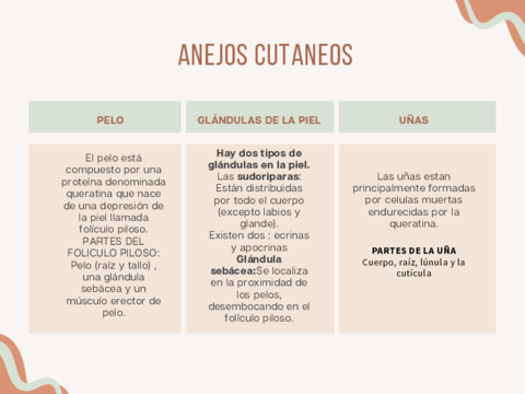 anejos-cutaneos.pdf