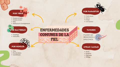 Enfermedades-de-la-piel.pdf