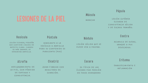 LESIONES-DE-LA-PIEL.pdf