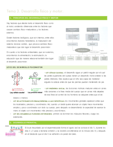 tema-3-desarrollo.pdf