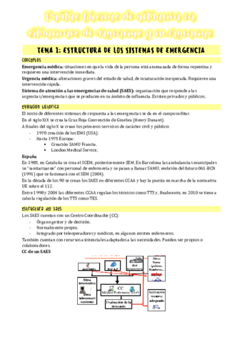 tema-1merged.pdf