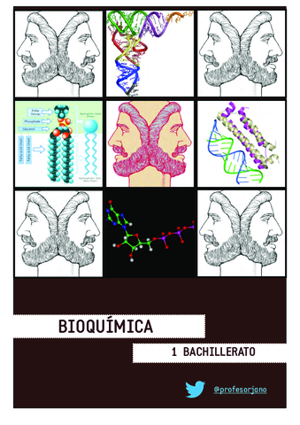 apuntes-bioelementos-y-biomoleculas.pdf