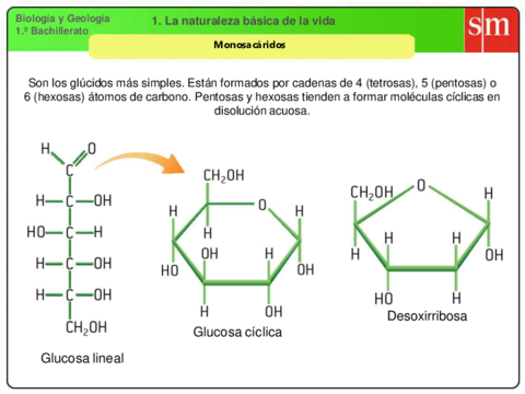 repaso-bioquimica.pdf