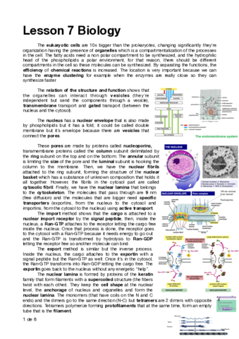 Lesson-7-Biology.pdf