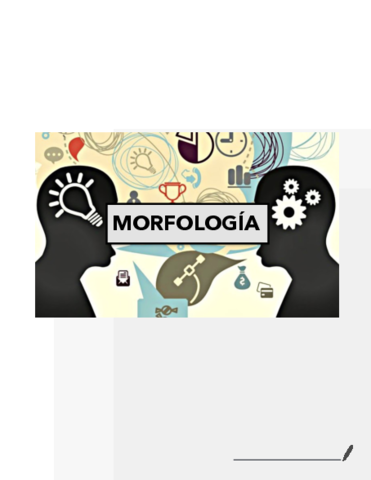 Tema-3-Morfologia.pdf