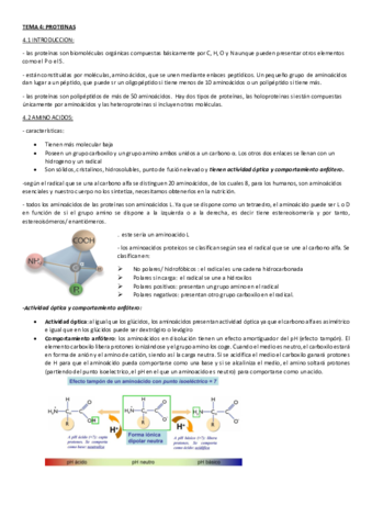 BIOLOGIA-TEMA-4.pdf