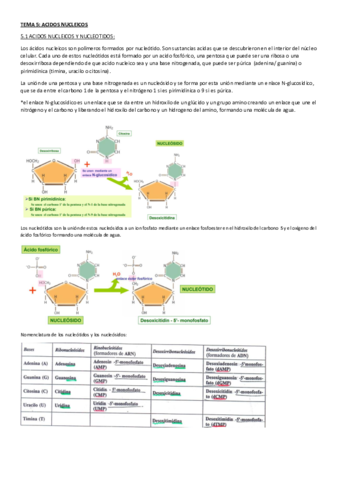 BIOLOGIA-TEMA-5.pdf