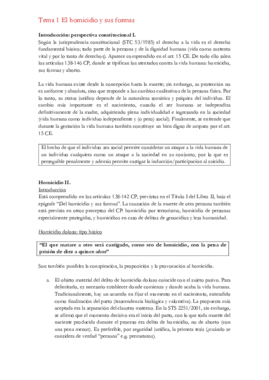 Full Derecho Penal Parte Especial.pdf