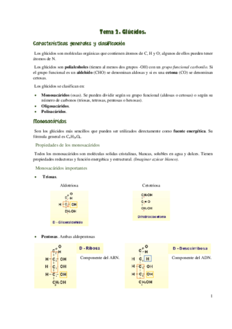 Glúcidos 