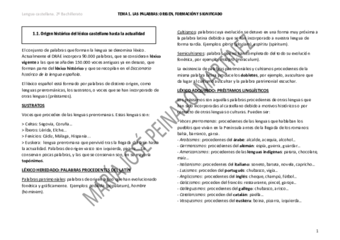 TEMA-1.pdf