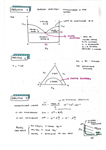 Resumen-practicas-fisicoquimica-II.pdf
