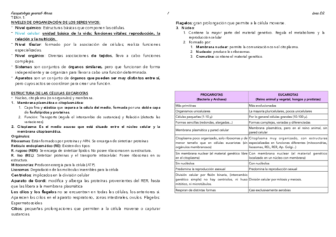 01-FG-Esquema-Tema-1.pdf