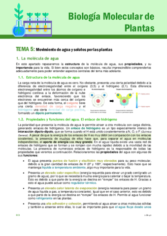 Tema-5-plantas.pdf