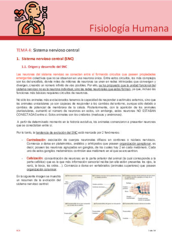 Tema-4-fisio.pdf