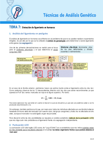 TEMA-7-TAG.pdf