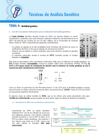 TEMA-4-TAG.pdf
