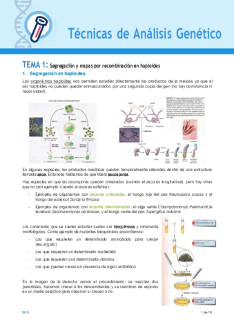 TEMA-1-TAG.pdf