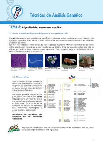 TEMA-6-TAG.pdf