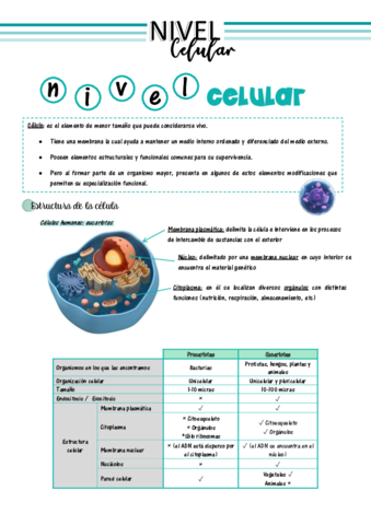La-celula.pdf